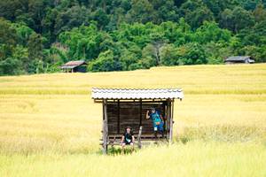 BIB: 
                            <button type="button" onclick="openModal(13443645)" class="btn btn-primary btn-sm float-right btn-popup" data-toggle="modal" data-target=".modal-high-quality">
                        <i class="fas fa-shopping-cart"></i> Add to Cart
                    </button>
                                            <button type="button" onclick="isThisMe(13443645, true)" class="btn btn-success btn-sm float-right btn-popup btn-isme hidden" data-toggle="tooltip" data-placement="bottom" title="นี่คือรูปของคุณใช่ไหม คลิกที่นี่เพื่อเอาเข้าอัลบั้ม">
                        <i class="fas fa-plus"></i> Add to album
                    </button>
                    <button type="button" onclick="isThisMe(13443645, false)" class="btn btn-warning btn-sm float-right btn-popup btn-isnotme hidden">
                        <i class="fas fa-ban"></i> Remove from album
                    </button>